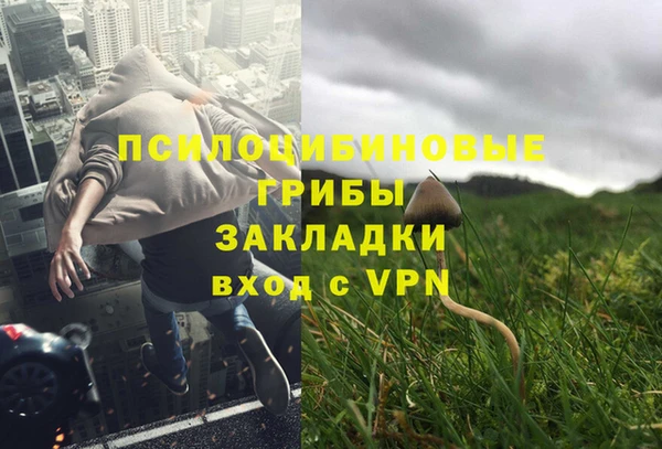 ALPHA PVP Ельня