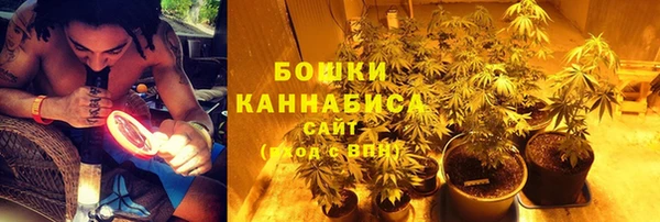 ALPHA PVP Ельня