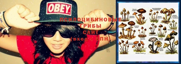 прущая мука Елизово