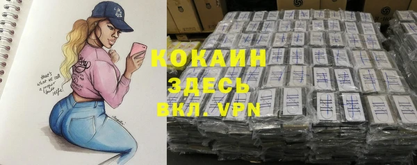 ALPHA PVP Ельня